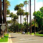 Private Getty Center to Griffith Observatory Guided Tour - Authentic Feedback from Travelers