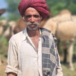 Private Golden Triangle Tour 5 Nights/6 Days - All Inclusive - Possible Drawbacks or Considerations