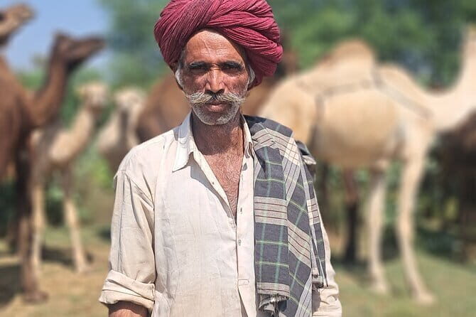 Private Golden Triangle Tour 5 Nights/6 Days - All Inclusive - Possible Drawbacks or Considerations