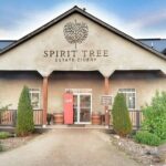 Private Greater Toronto DriveSpa Tour with Lunch - Who Should Consider This Tour?