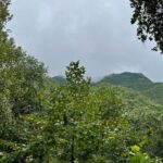 Private/Group Cola de Caballo Waterfall & Santiago (Premium SUV) - Pricing and Value