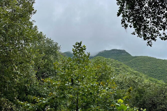 Private/Group Cola de Caballo Waterfall & Santiago (Premium SUV) - Pricing and Value