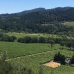 Private Group Wine Tour of Napa and Sonoma - What Could Be a Drawback?