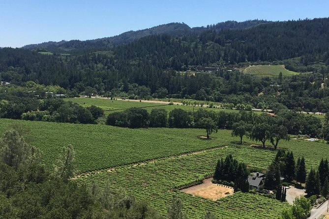 Private Group Wine Tour of Napa and Sonoma - What Could Be a Drawback?