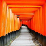 Private Guided Day Tour of Kyoto - In-Depth Look at the Experience