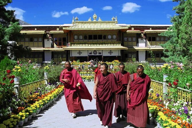 Private Guided Dharamshala Tour with Scenic Views & Lunch - The Highlights: What You’ll See and Experience