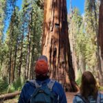 Private Guided Hiking Tour - Sequoia National Park - FAQs