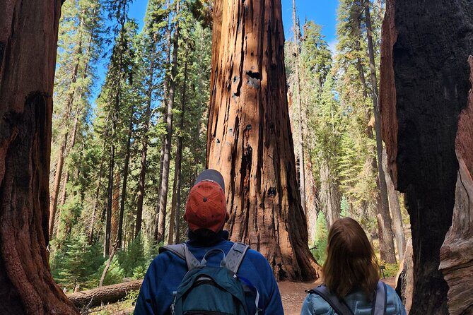 Private Guided Hiking Tour - Sequoia National Park - FAQs