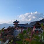 Private Guided Historical Sightseeing Tour in Kyoto - Who Should Book This Tour?