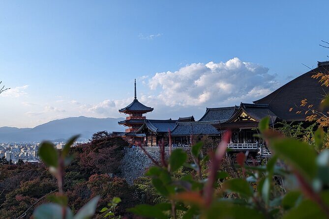 Private Guided Historical Sightseeing Tour in Kyoto - Who Should Book This Tour?