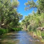 PRIVATE GUIDED River Kayaking the Verde River With 4x4 UTV RIDE - A Thorough Look at the Verde River Kayaking Experience