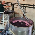 Private Guided Wine Tour of Napa Valley - Who Will Love This Tour?