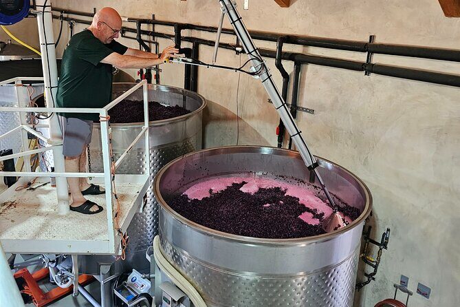 Private Guided Wine Tour of Napa Valley - Who Will Love This Tour?