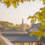 Private Gyeongju Tour - Explore Gyeongju UNESCO Sites - What Makes This Tour Stand Out?