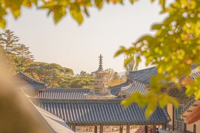 Private Gyeongju Tour - Explore Gyeongju UNESCO Sites - What Makes This Tour Stand Out?