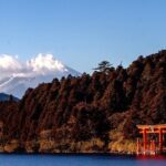 Private Hakone Tour - View of Mt. Fuji, Nature and Culture - Transportation and Physical Considerations