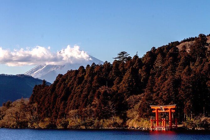 Private Hakone Tour - View of Mt. Fuji, Nature and Culture - Transportation and Physical Considerations