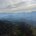 Private Half Day Bird Watching Experience - Detailed Breakdown of the Itinerary