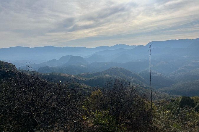 Private Half Day Bird Watching Experience - Detailed Breakdown of the Itinerary