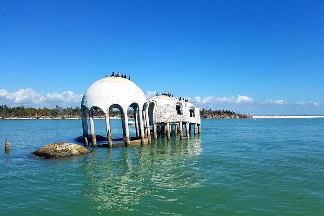 Private Half-Day Charter Tour in Naples, Florida - Who Will Find This Tour Most Valuable?