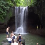 Private Half Day Heritage and Cultural Ubud Tour - All Inclusive - A Closer Look at the Itinerary