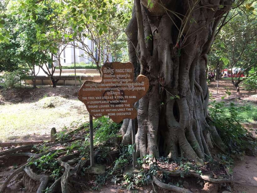 Private Half Day to Killing Field and S21 Genocidal Museum - Exploring the Experience in Detail