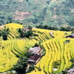 Private Half-Day Tour of Villages, Terrace Rice Fields by Car - Why This Tour Works
