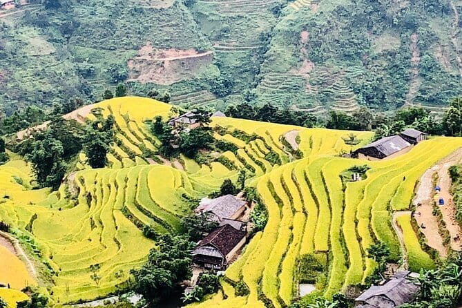 Private Half-Day Tour of Villages, Terrace Rice Fields by Car - Why This Tour Works