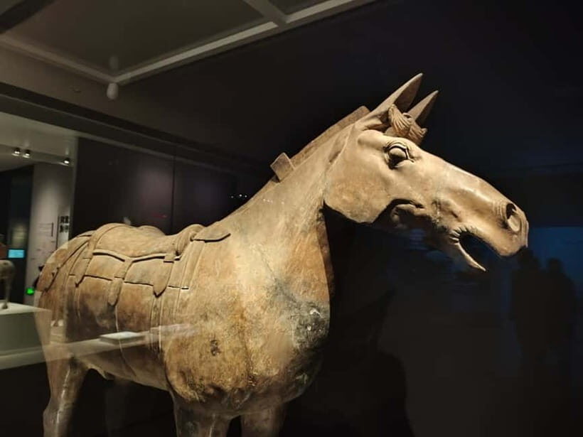 Private Half-Day Tour of Xi'an Terracotta Warriors - Analyzing the Value