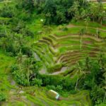 Private Half Day-Tour: Ubud Waterfall Trip - Practical Details That Matter