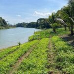 Private Half-Day Tuk Tuk Tour in Battambang - Who Will Appreciate This Tour Most?