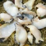 Private Half-Day Udo Tour in Jeju Island - Final Thoughts