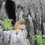 Private Halong Bay In Day - Final Thoughts