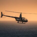 Private Helicopter Tour of Beaches & Downtown Los Angeles from Long Beach - Who Will Love This Tour?