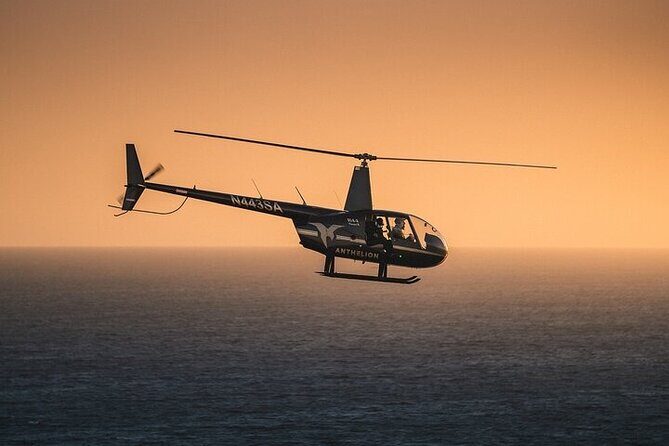 Private Helicopter Tour of Beaches & Downtown Los Angeles from Long Beach - Who Will Love This Tour?