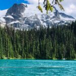 Private Hiking Day tour of Joffre Lakes Park - Authenticity and Experience
