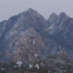 Private Hiking tour to Bukhansan Peak(Baegundae: 836.5m) with Mountain Expert - What Does the Tour Include?