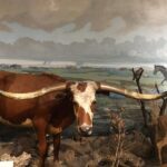 Private History Pub Crawl/Tour - An In-Depth Look at What This Tour Offers