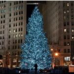 Private Holiday City Tour - The Practical Aspects: What You Need to Know