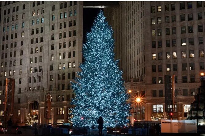 Private Holiday City Tour - The Practical Aspects: What You Need to Know