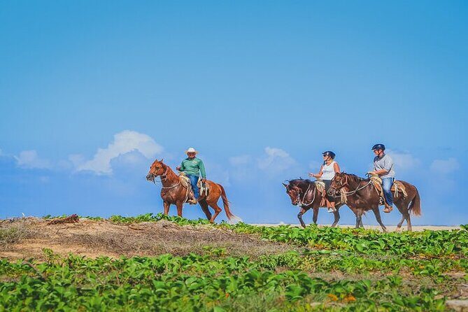 Private Horseback Riding in Cabo San Lucas - Why This Tour Stands Out