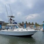 Private Huatulco Whale & Dolphin Adventures - The Value of This Tour