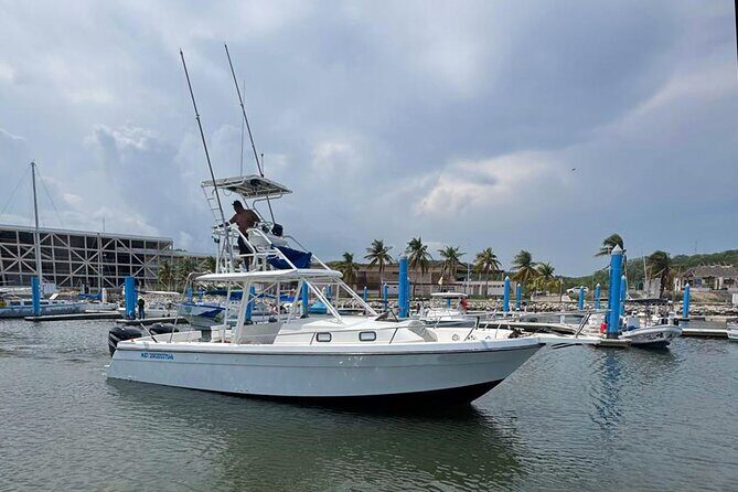 Private Huatulco Whale & Dolphin Adventures - The Value of This Tour