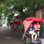 Private Hutong Culture Tour with Dumpling Cooking Class plus Cricket Fighting Game - The Sum Up: Who Will This Tour Suit Best?