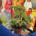 Private Immersive History Tours California Migration Museum - FAQ