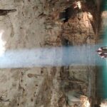 Private Instagram Cenotes Tour with Professional Photography - An In-Depth Look at the Cenotes Tour