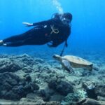 PRIVATE Introductory Discover Scuba Diving For Beginners - A Closer Look at the Experience