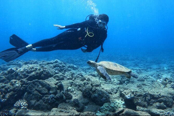 PRIVATE Introductory Discover Scuba Diving For Beginners - A Closer Look at the Experience
