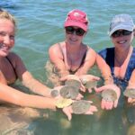 Private Island Eco Tours on a Private Boat from Shackleford Banks - A Closer Look at the Private Island Eco Tour