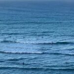 Private Island Tours and Charters through the Island of Oahu - The Sum Up